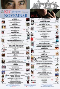 city light program novembar