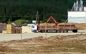 Pretovar balvana za izvoz sa Zabljka