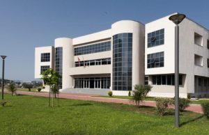 56cb44e1-df78-4bd3-a92c-629b0a0a0a67-tumber-preview